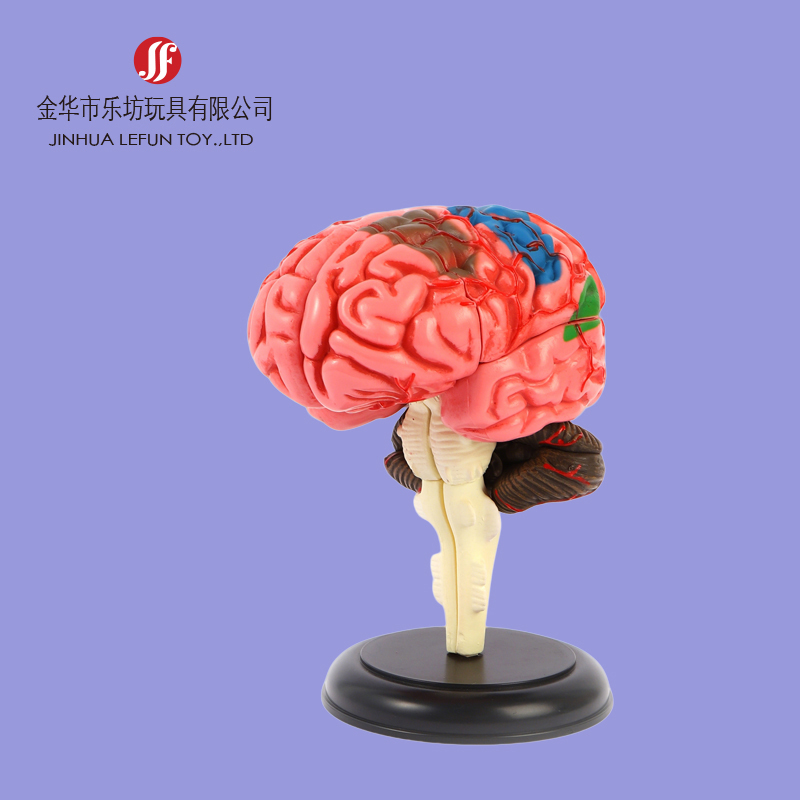 Custom-pvc-education-toy-figurine-1