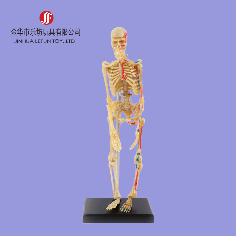 Custom pvc education toy figurine 2