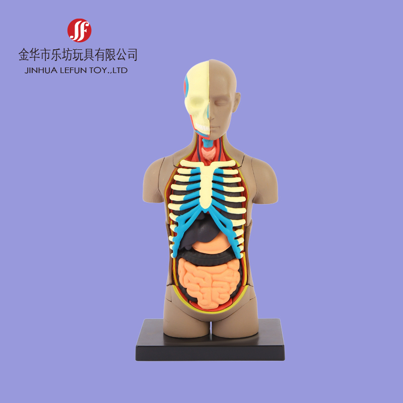 Custom pvc education toy figurine 3