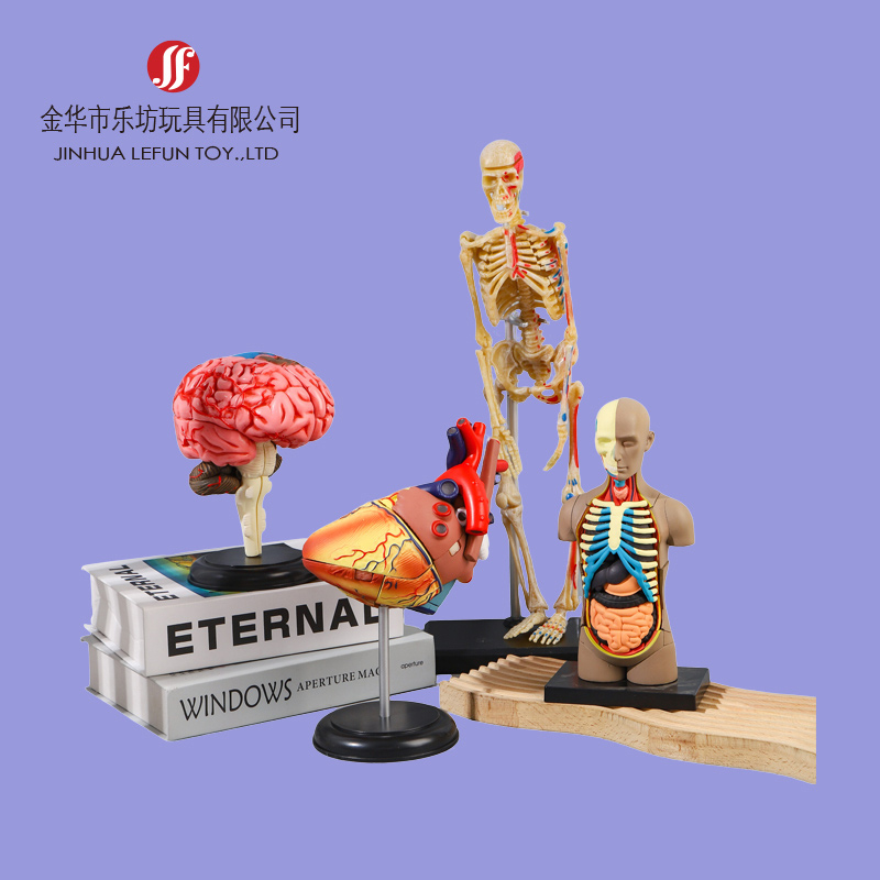 Custom-pvc-education-toy-figurine-4