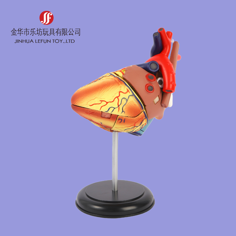 Custom pvc education toy figurine 5